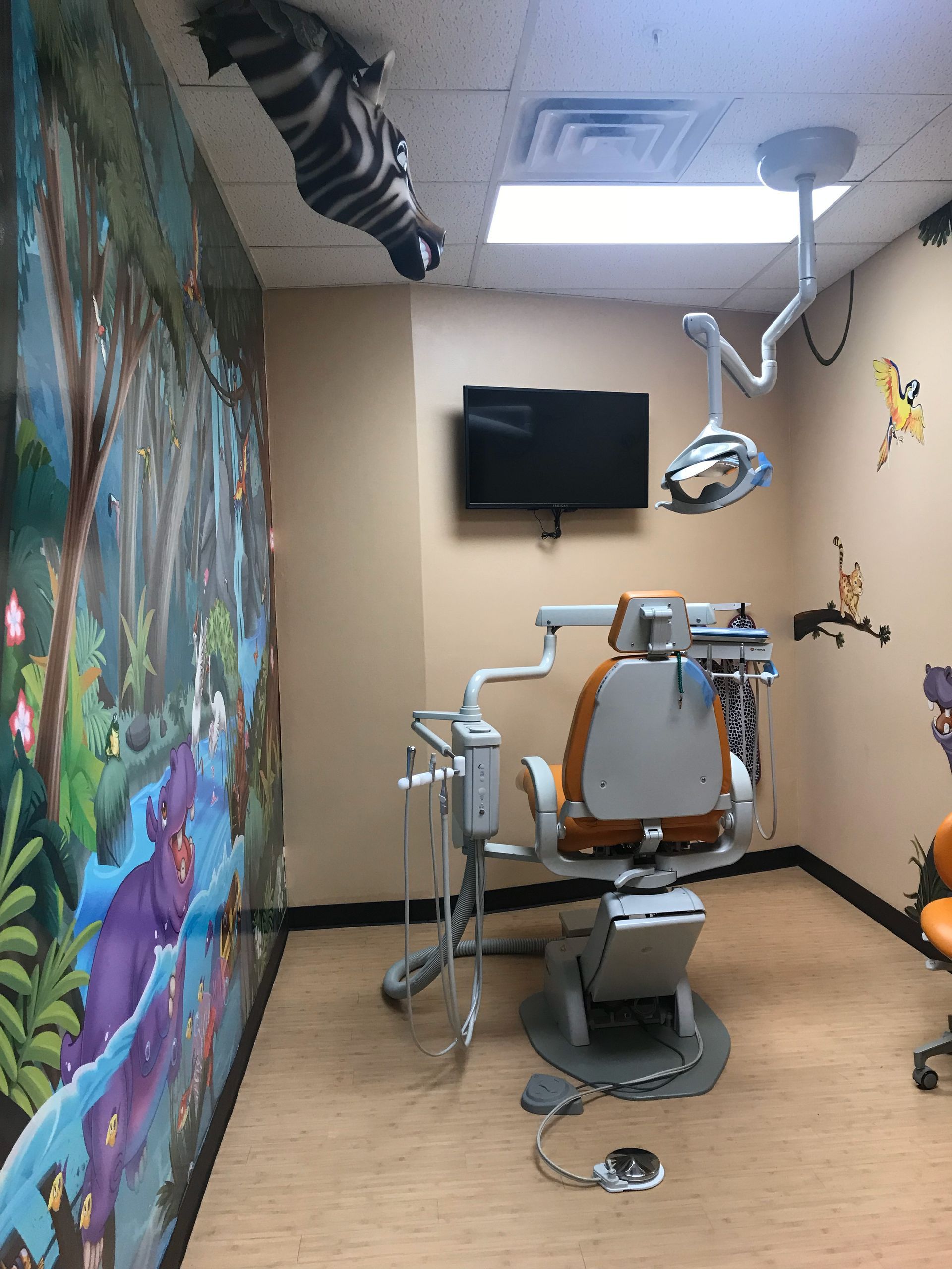 Kiddsmiles  Pediatric Dentistry Treatments, Floral Park, white plains, westchester, manhasset, merrick, holbrook, syosset, port jefferson station, north babylon, nassau county, suffolk county