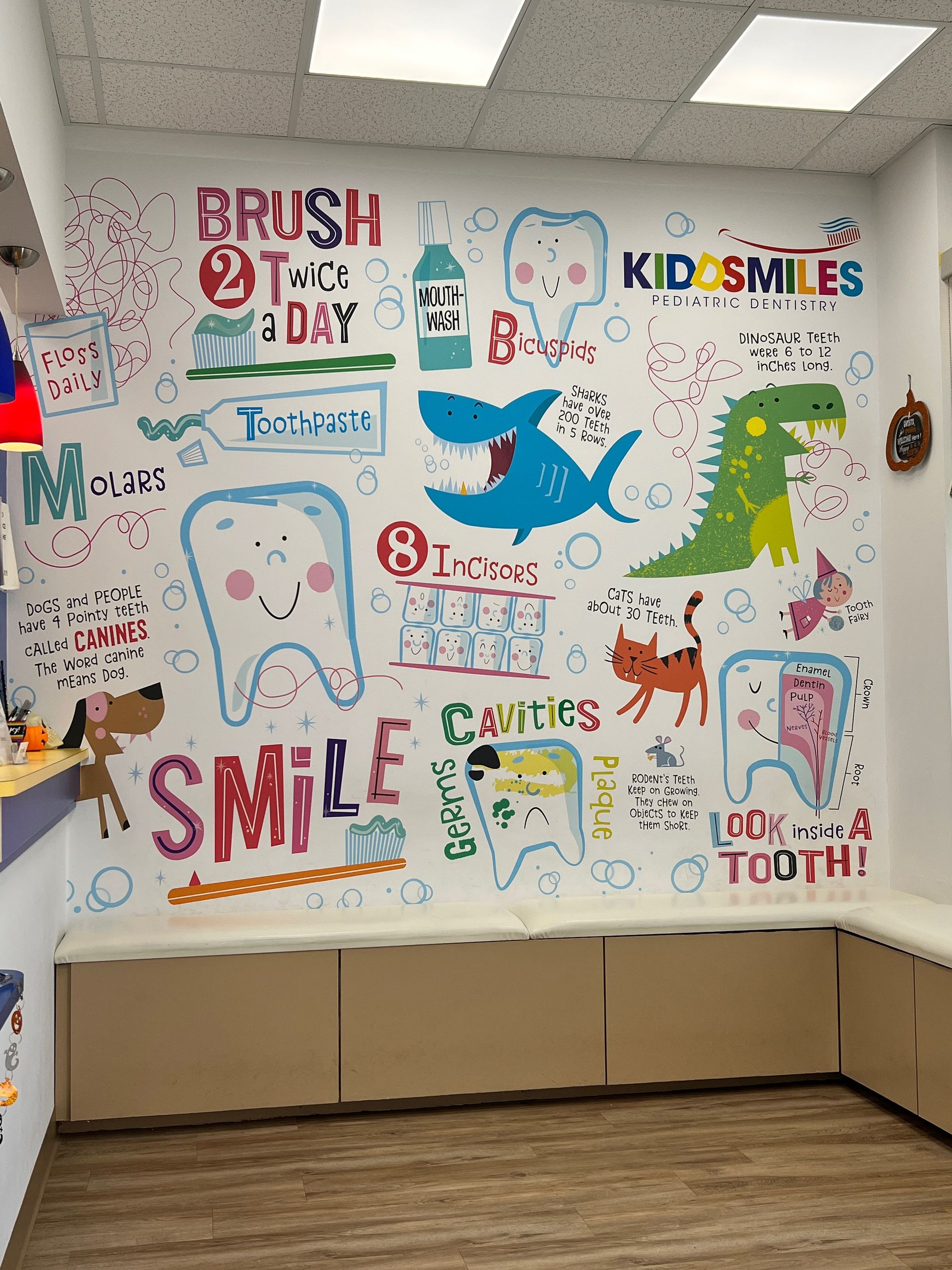 Kiddsmiles  Pediatric Dentistry Treatments, Floral Park, white plains, westchester, manhasset, merrick, holbrook, syosset, port jefferson station, north babylon, nassau county, suffolk county