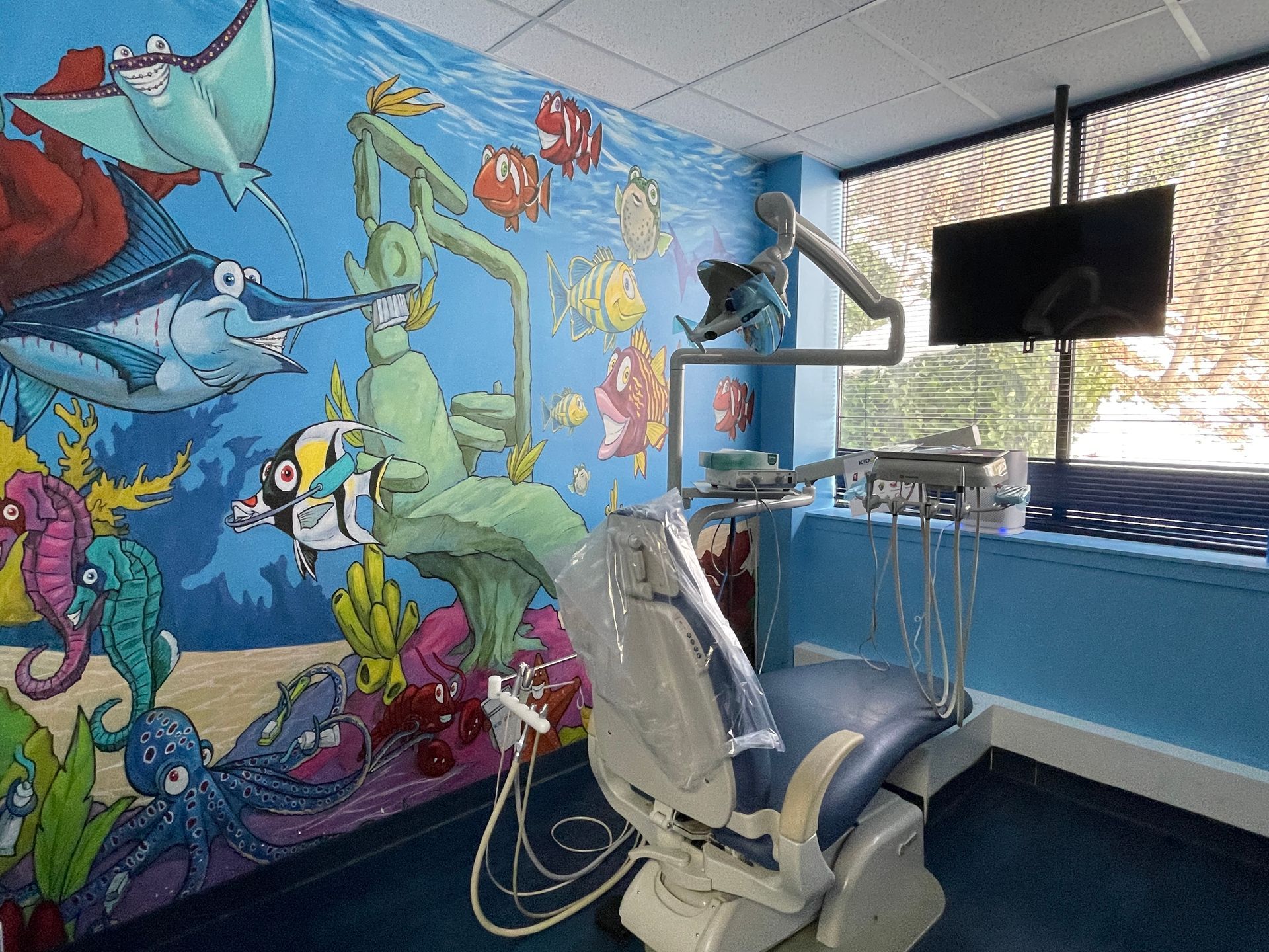 Kiddsmiles  Pediatric Dentistry Treatments, Floral Park, white plains, westchester, manhasset, merrick, holbrook, syosset, port jefferson station, north babylon, nassau county, suffolk county