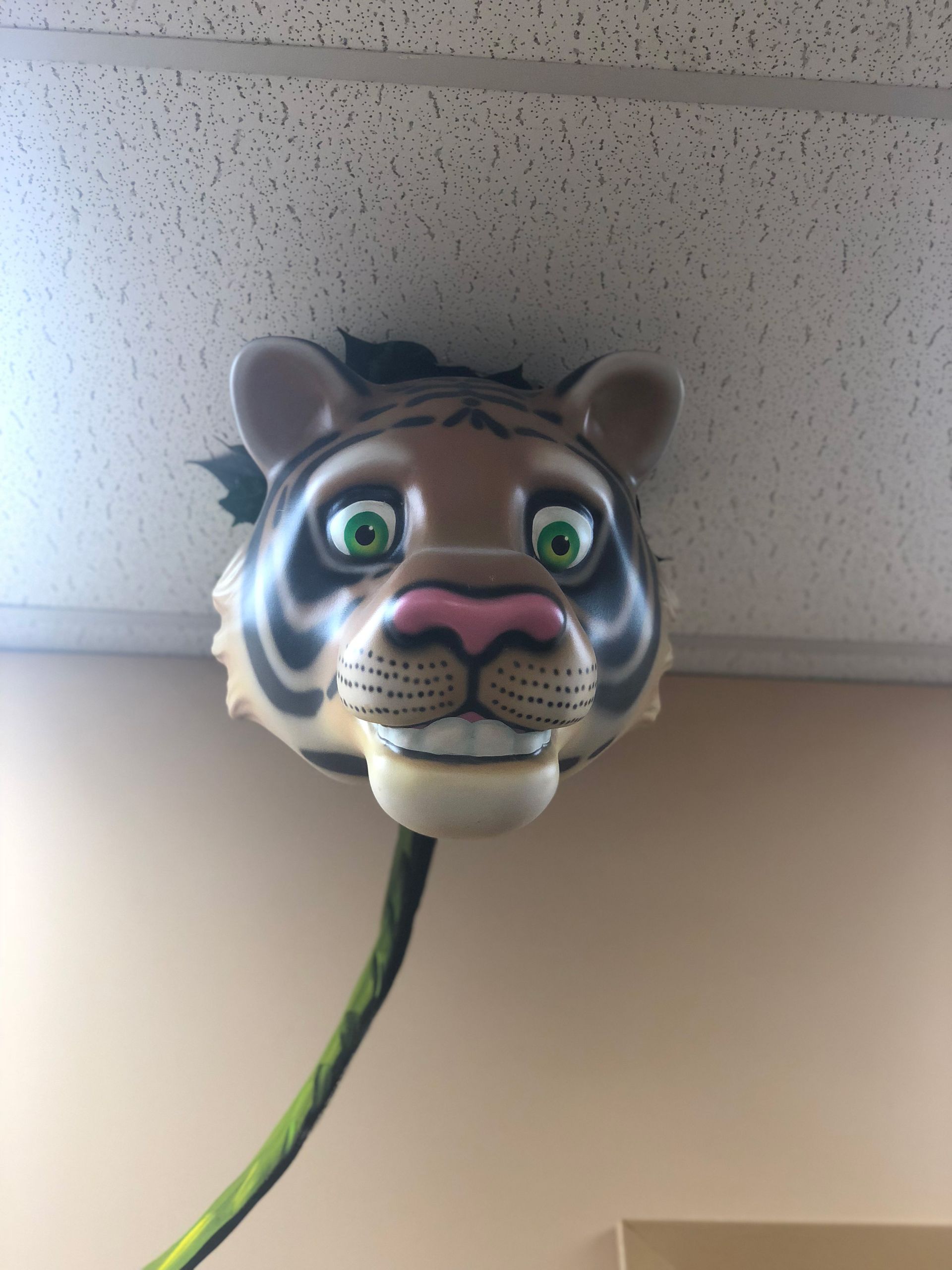 Kiddsmiles  Pediatric Dentistry Treatments, Floral Park, white plains, westchester, manhasset, merrick, holbrook, syosset, port jefferson station, north babylon, nassau county, suffolk county