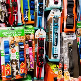 pet accessories