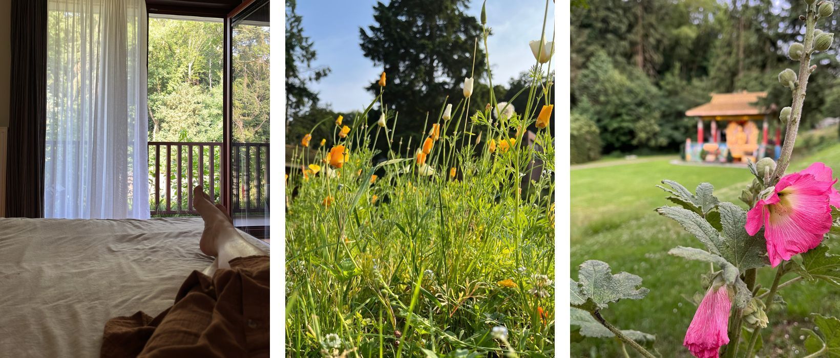 Een collage van drie foto's van een slaapkamer, een bloemenveld en een grasveld