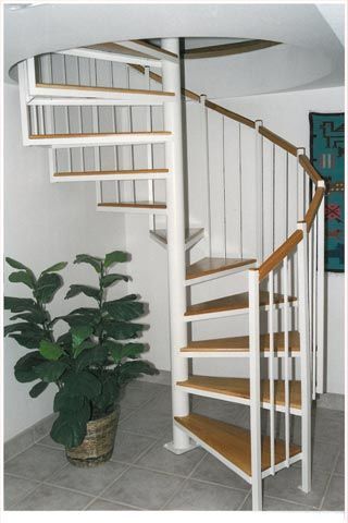 A spiral staircase with wooden steps and a plant in the corner