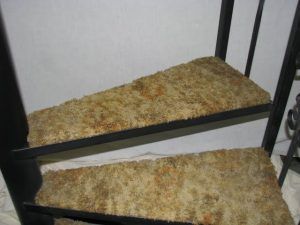 A close up of a spiral staircase with a rug on the steps.