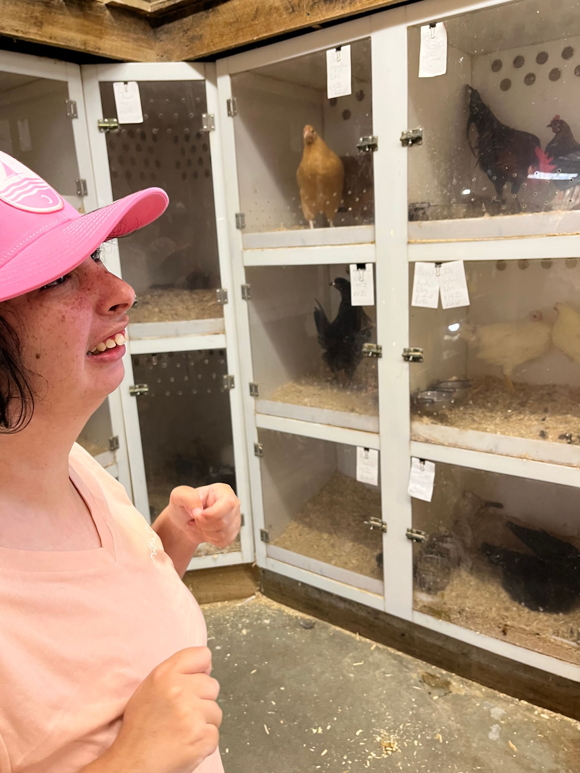 Lions and Tigers and Bears oh my!
Not at Good's Feed Mill! Just lots of smiles, ducks, chickens, roosters, rabbits, and more!