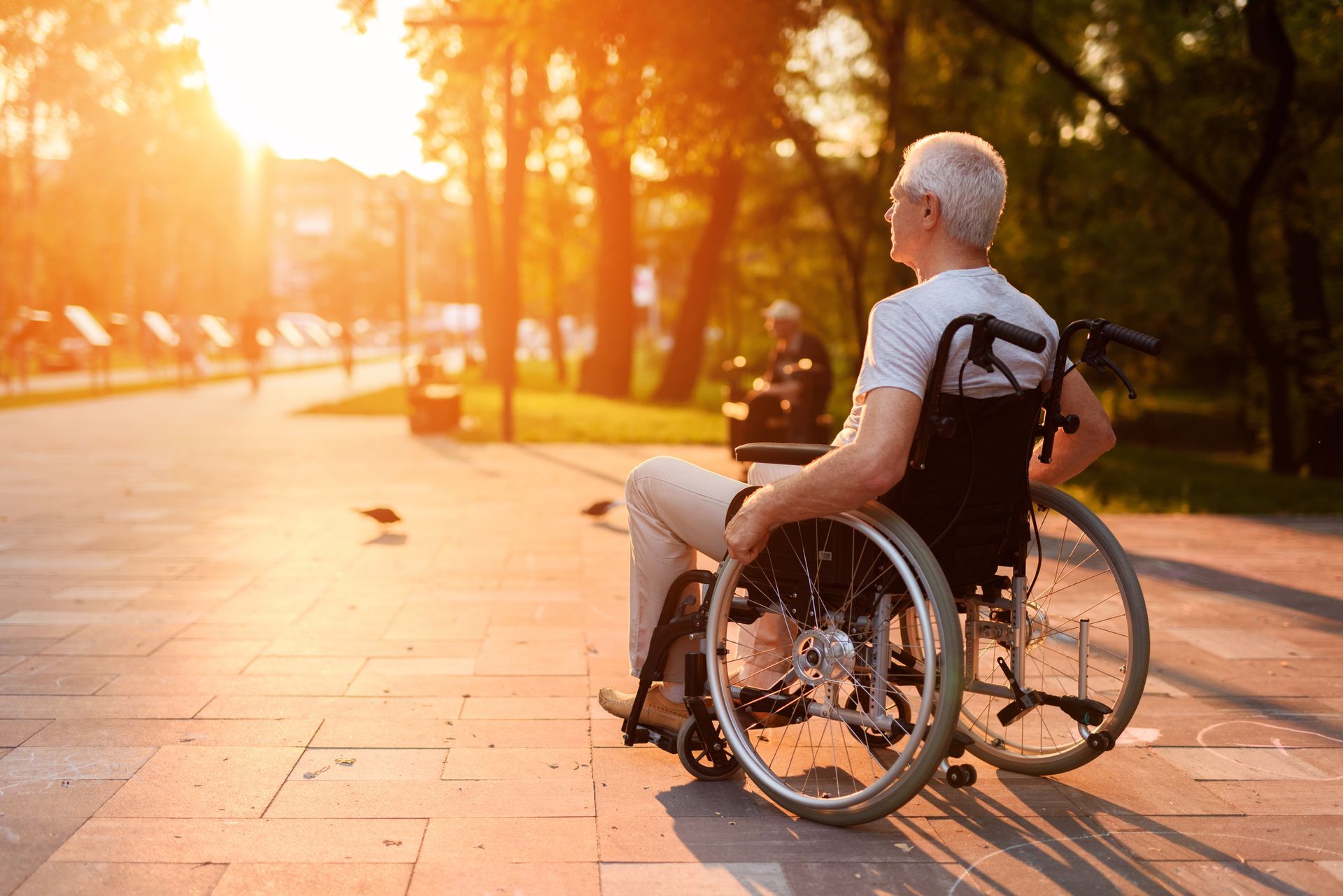A man is sitting in a wheelchair and watching the sunset in the park.