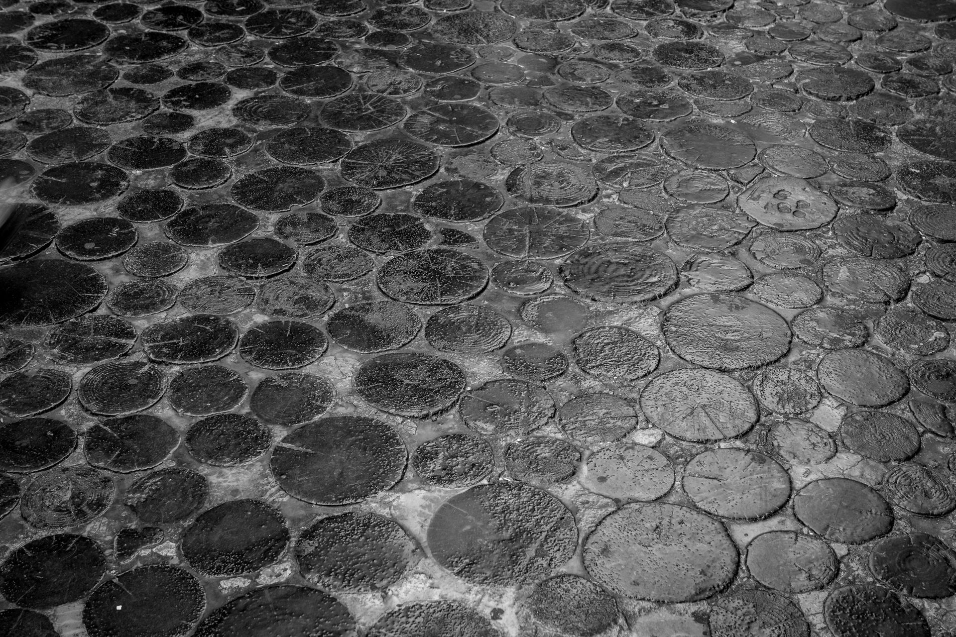 Roofer or groundworks surface — websites for roofers and builders UK | TradeSite AI