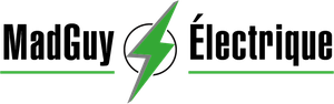 Un logo pour madguy electric avec un éclair vert.