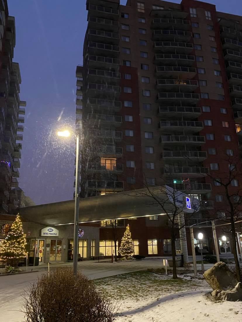 Un bâtiment avec un sapin de Noël devant lui