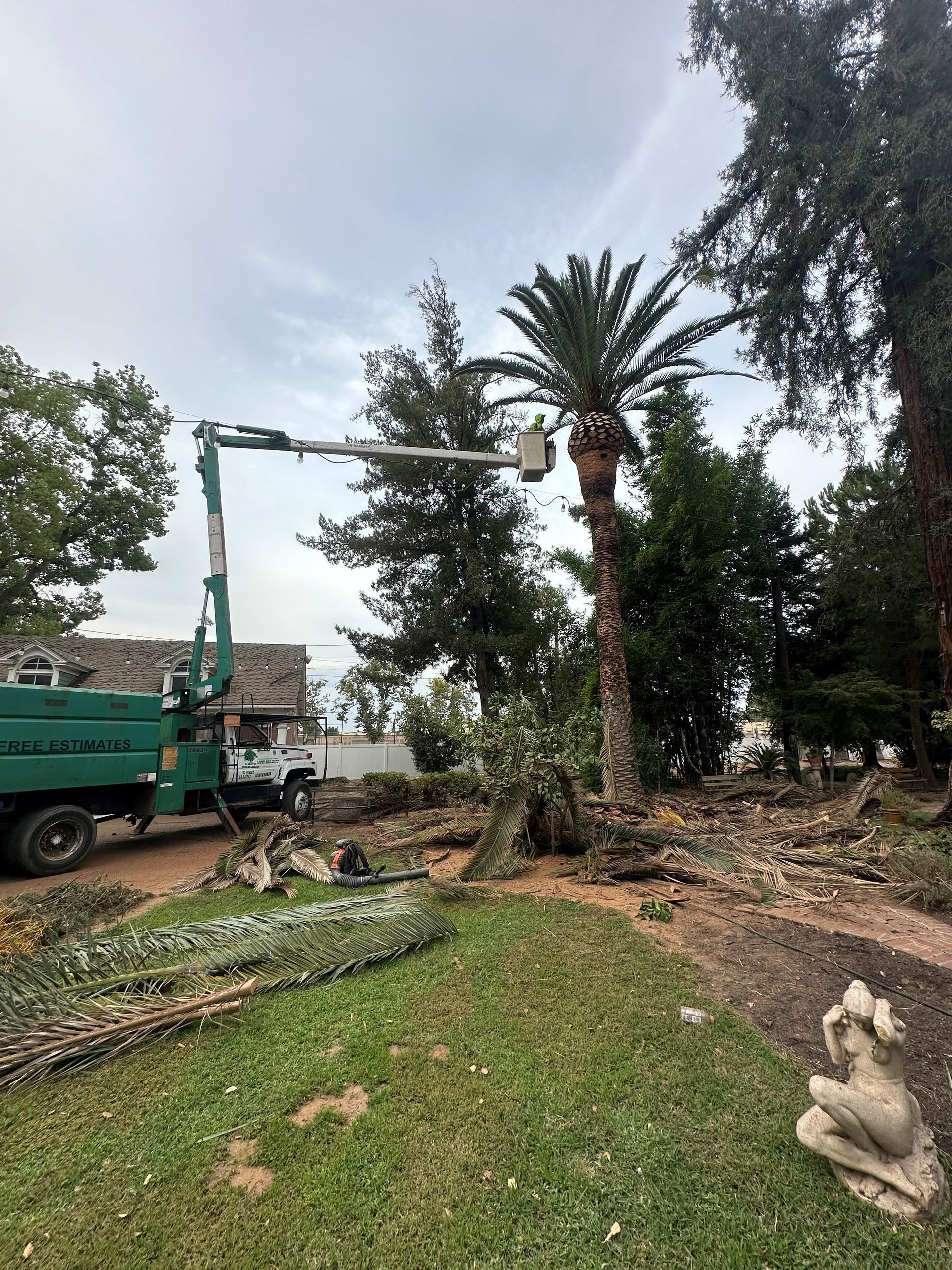 A person is cutting a tree branch with a chainsaw.