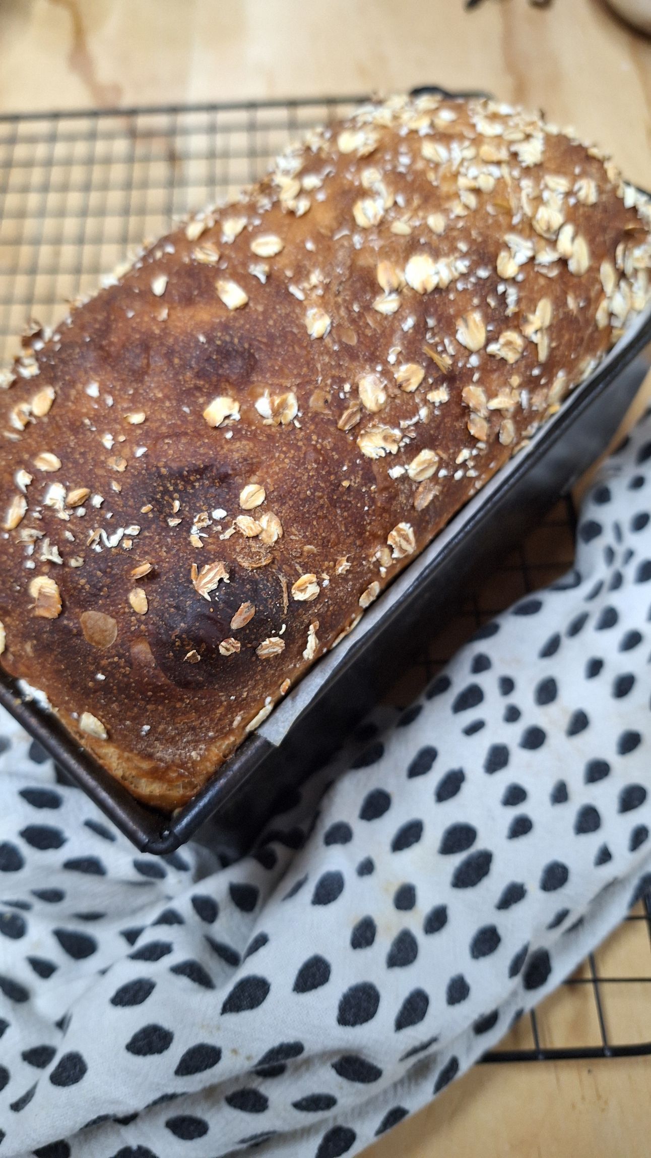 Organic gluten free oat bread