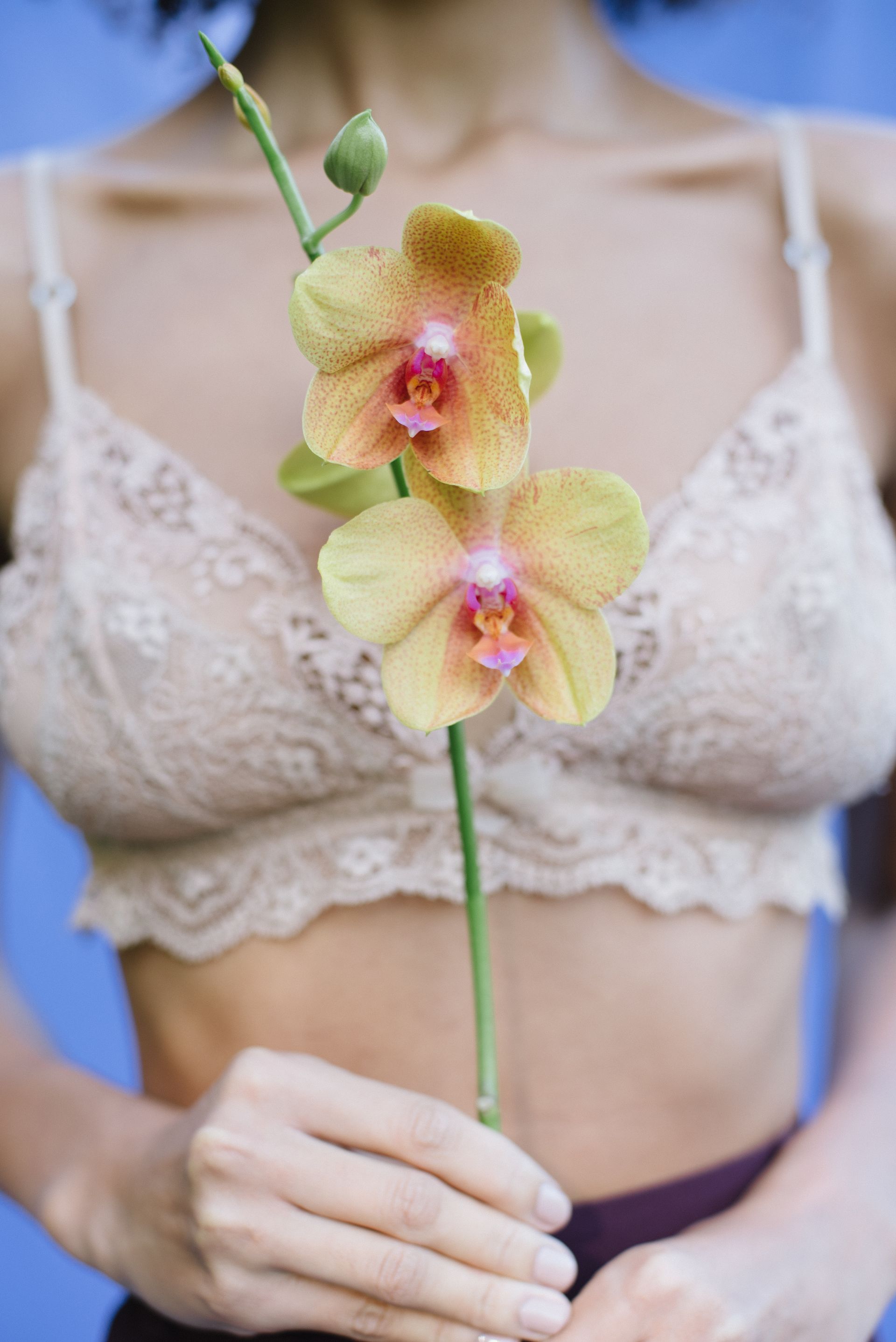 Imagens artísticas representando as áreas de atuação da ginecologista Dra. Juliana Sperandio