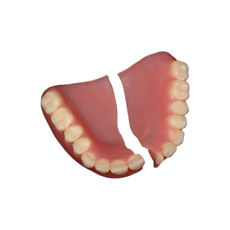 Illustration of a lower human jaw with teeth and pink gums, mouth open on a white background