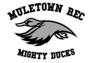 Fairview Sharks swim team logo: blue shark leaping from water inside a circle with team name.