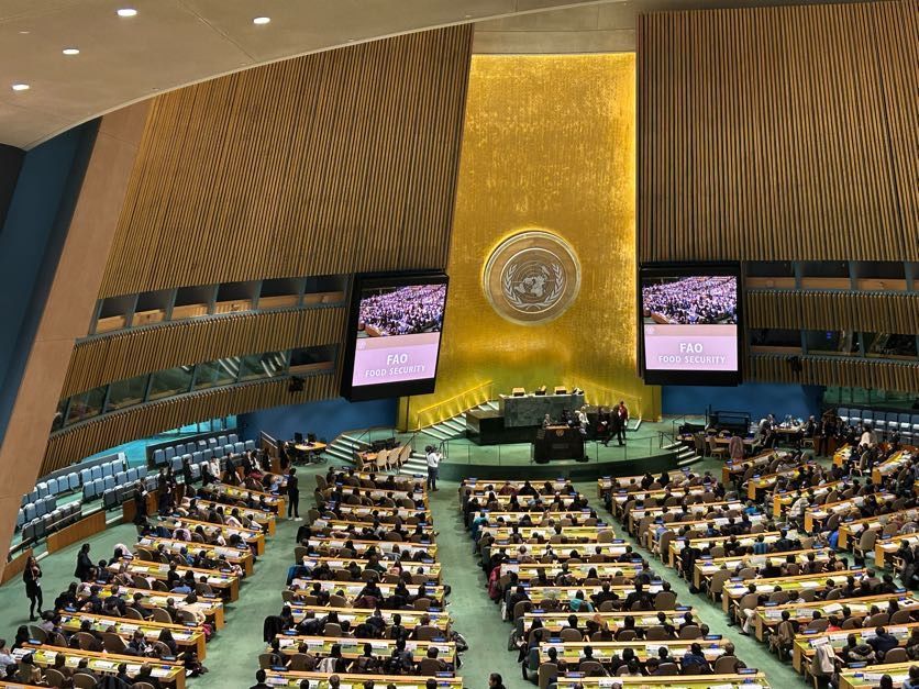 A photo of the United Nations hall where students read their speeches for MMUN.
