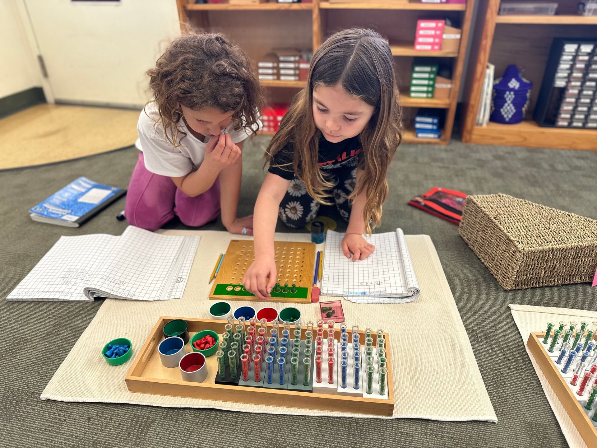 Two Lower Elementary students working together on a Montessori math material called Test Tube Division in our El Cerrito elementary program.