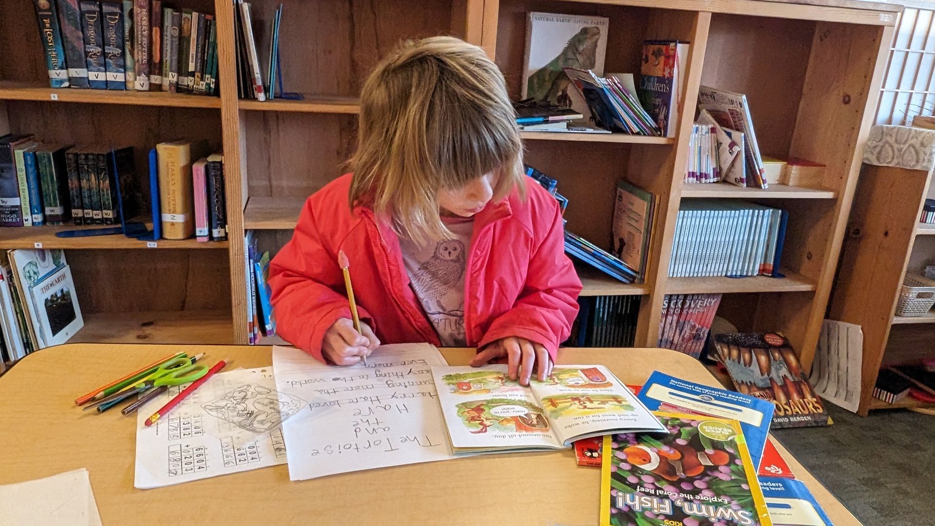 A Lower Elementary student practicing writing with The Tortoise and the Hare. The Montessori philosophy highlights handwriting and self directed research.