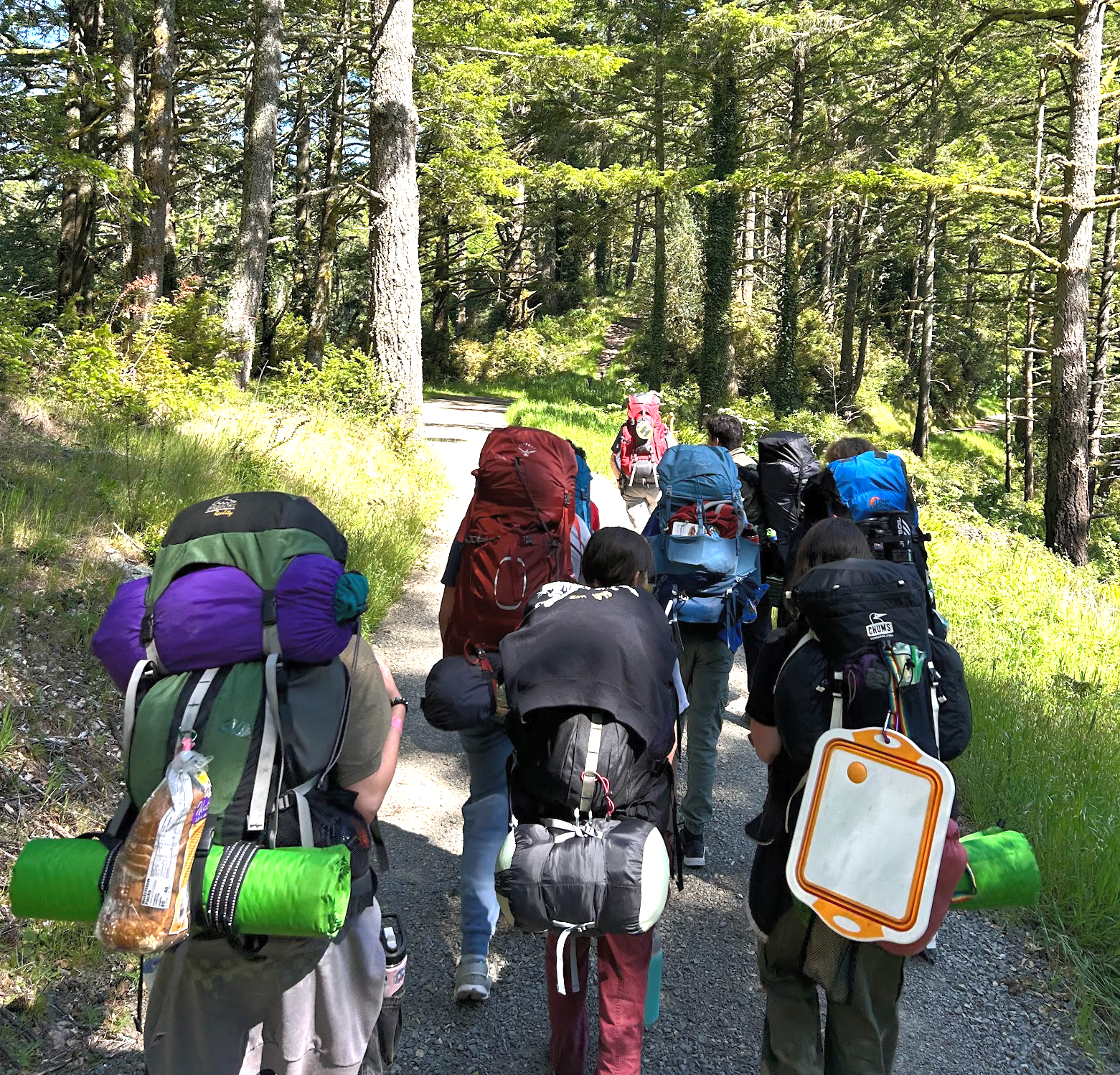 Three Middle School students backpacking through the forest near Point Reyes. This week-long trip requires weeks of preparation and planning from the students.