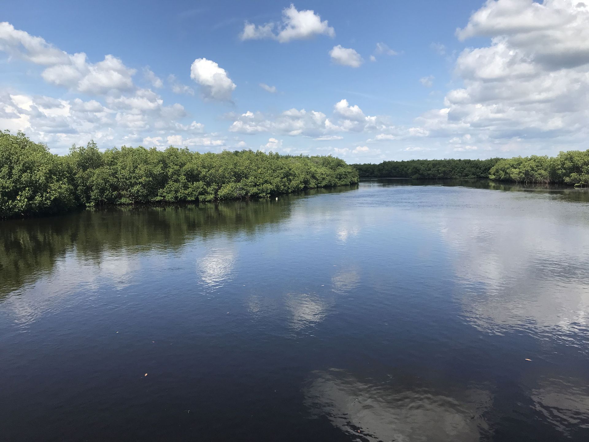 Photo of Lake - Click to view boat slip & storage unit availability