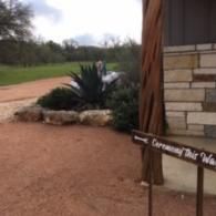 Rural roadside with gravel driveway, yucca plants, stone landscaping, and a sign by a building corner