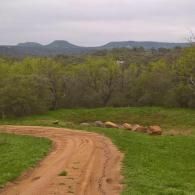 Dirt road curving through green hills and trees under a cloudy sky