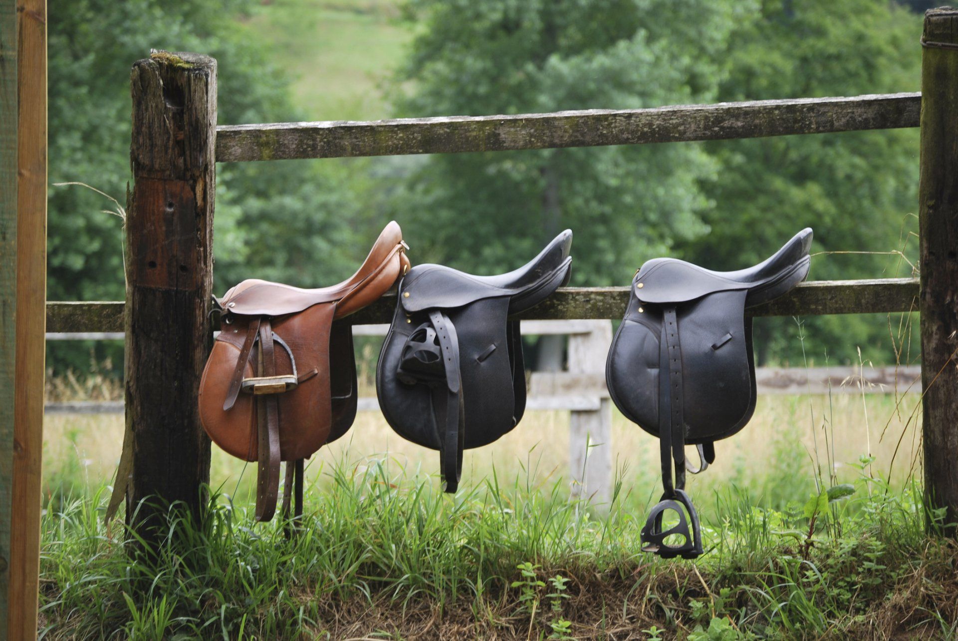 Saddle fit will guide you to choose the proper fit for your horse.