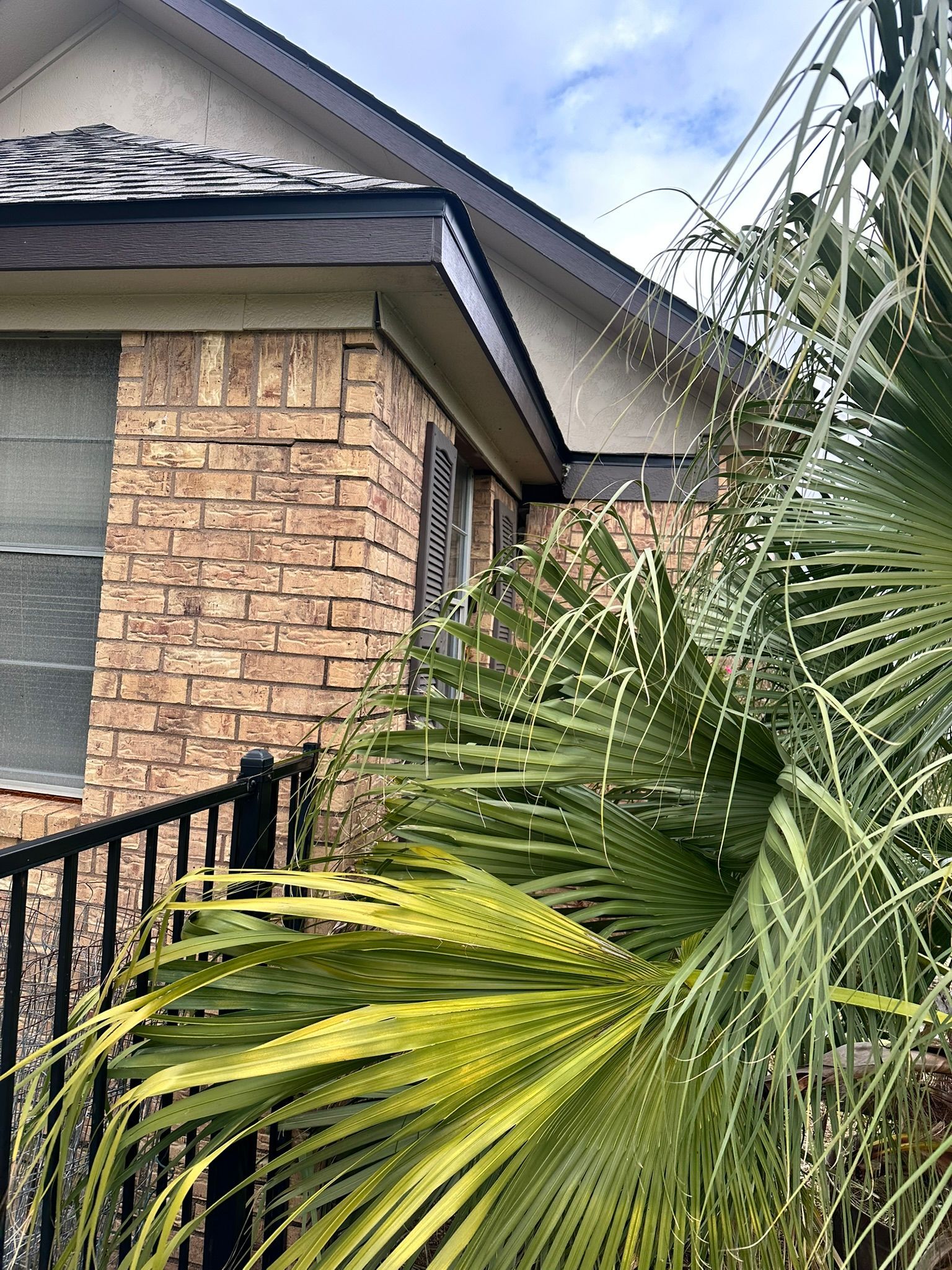 A brick house with a palm tree in front of it.