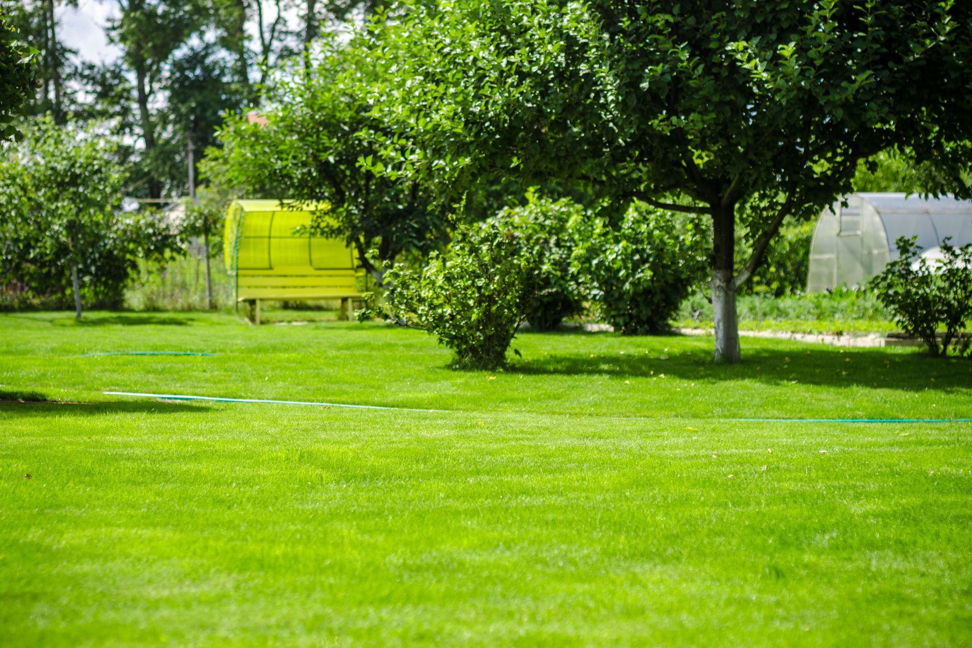 Green garden landscape in Athens, GA; perfect lawn care illustration.