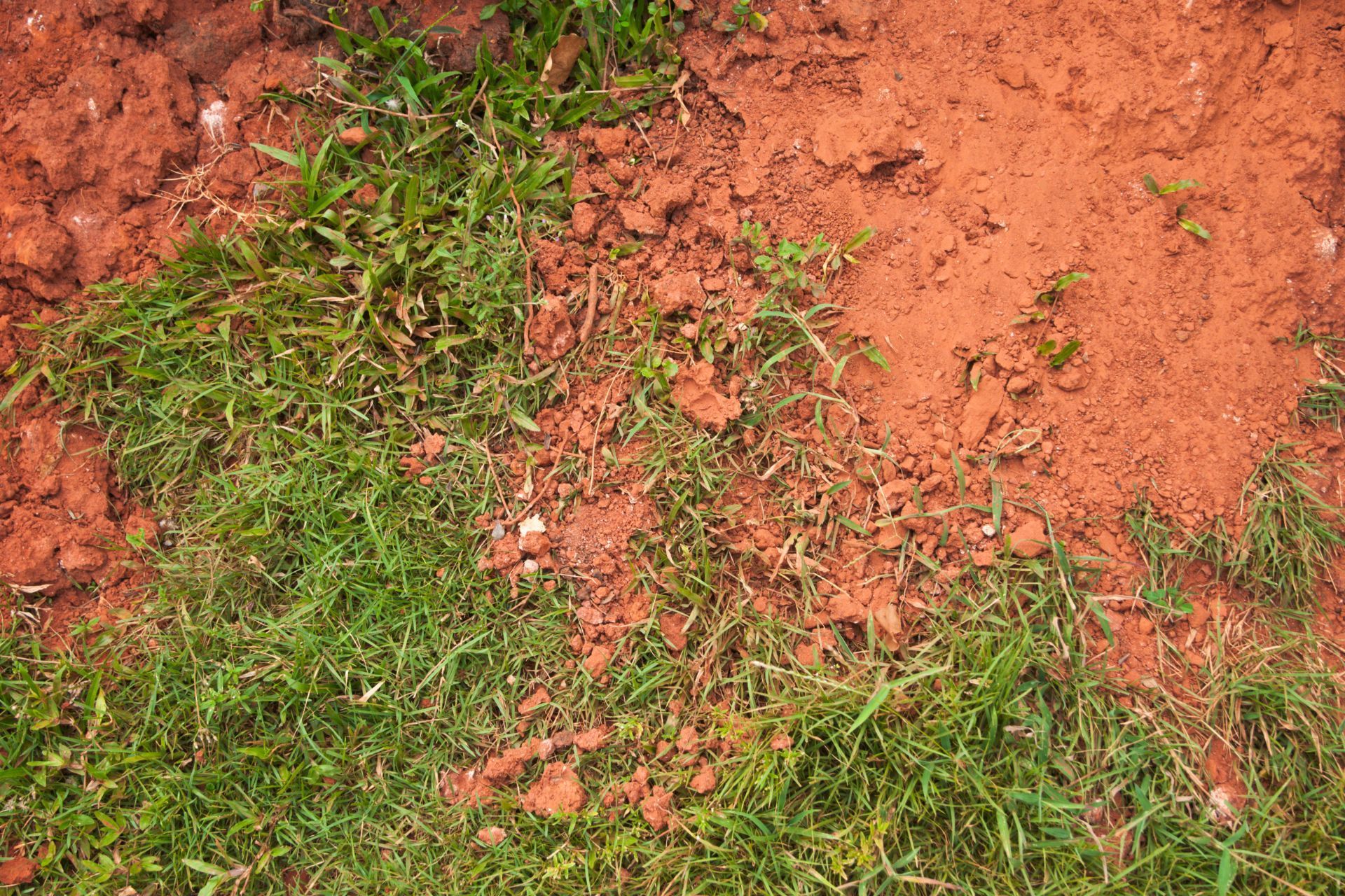 Patchy grass with exposed red soil, representing erosion in the Athens, GA, landscape.
