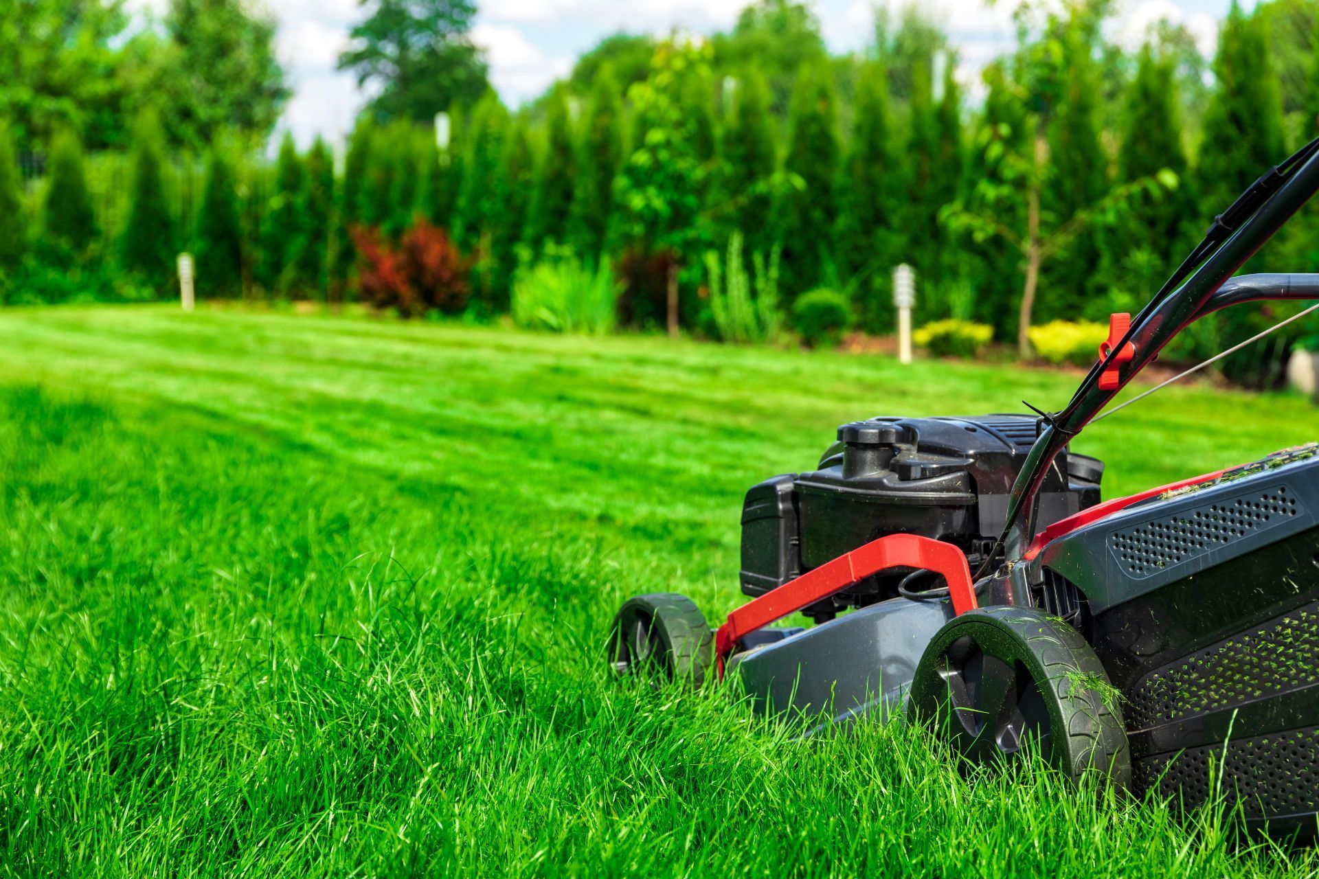 Lawn mower in action, lush green grass in Athens, GA.