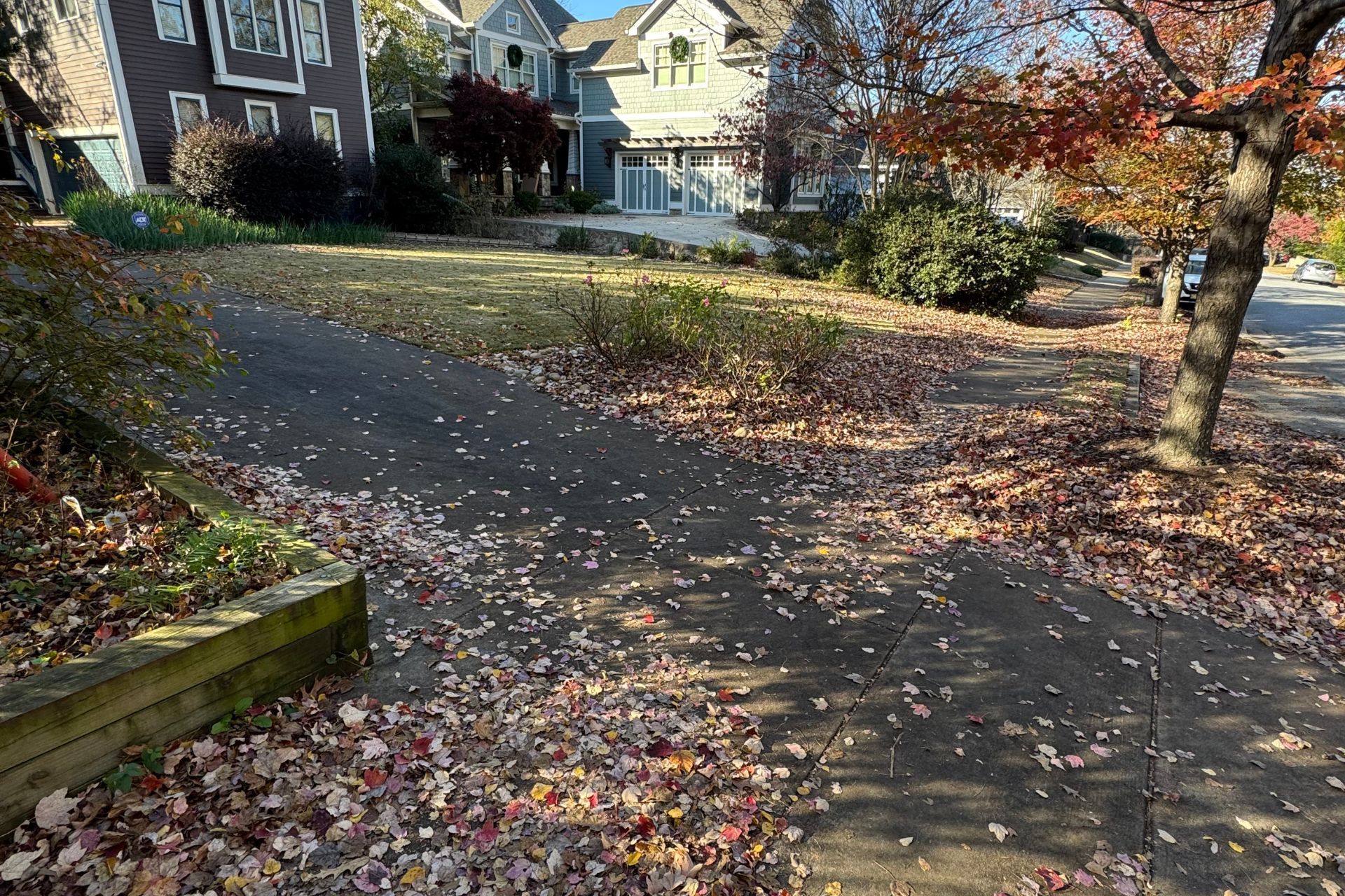 A photo of the front lawn of a house before seasonal leaf clean-up.