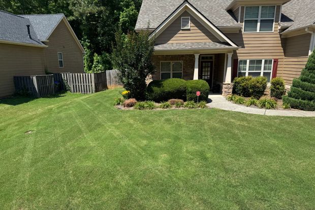 Beautifully landscaped front lawn of a house in Athens, GA