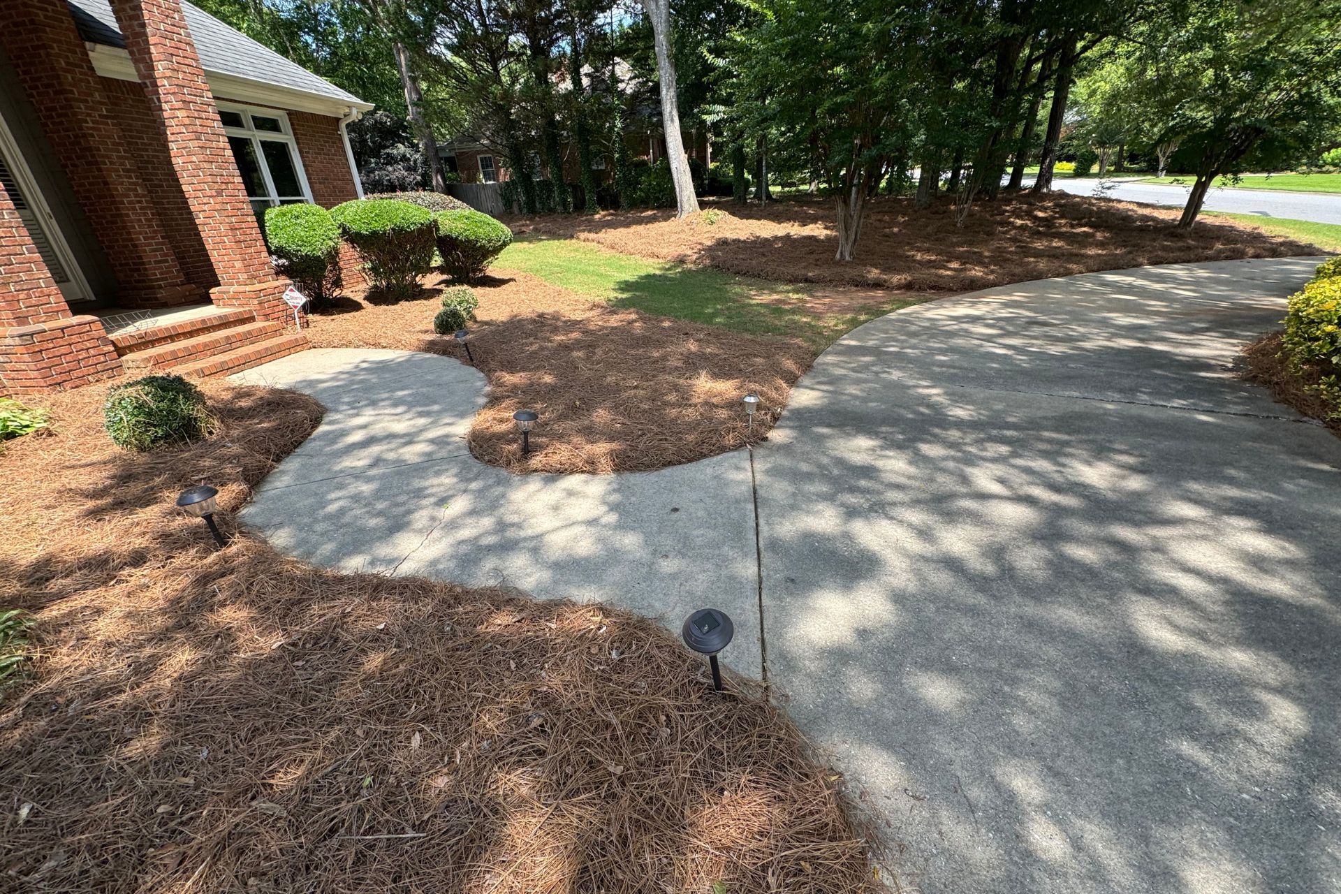 Eco-friendly Pine Straw installation providing soil health benefits.