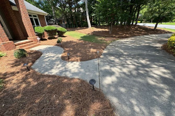 Professional Pine Straw installation enhancing garden beds in Athens, GA.