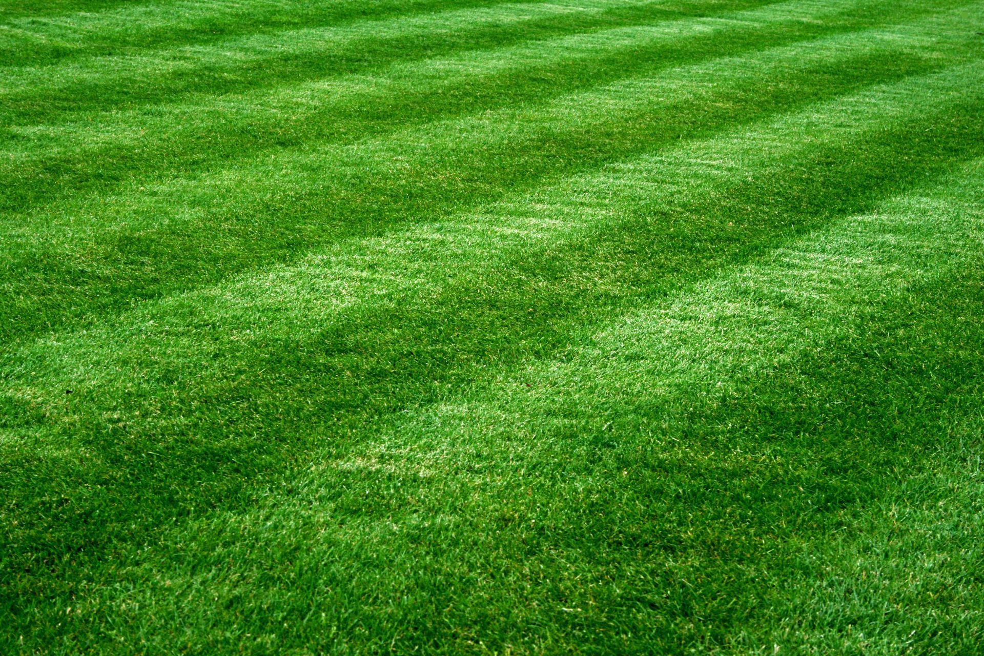 Well-maintained green grass, vibrant stripes, Athens, GA.