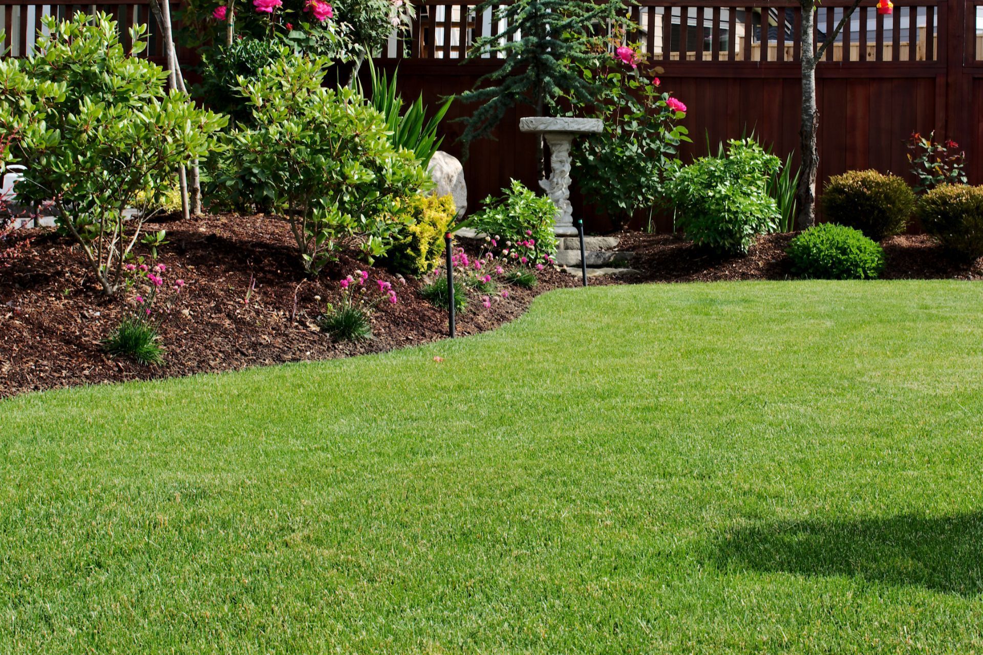 Vibrant Spring Lawn with Lush Greenery in Athens, GA Garden.