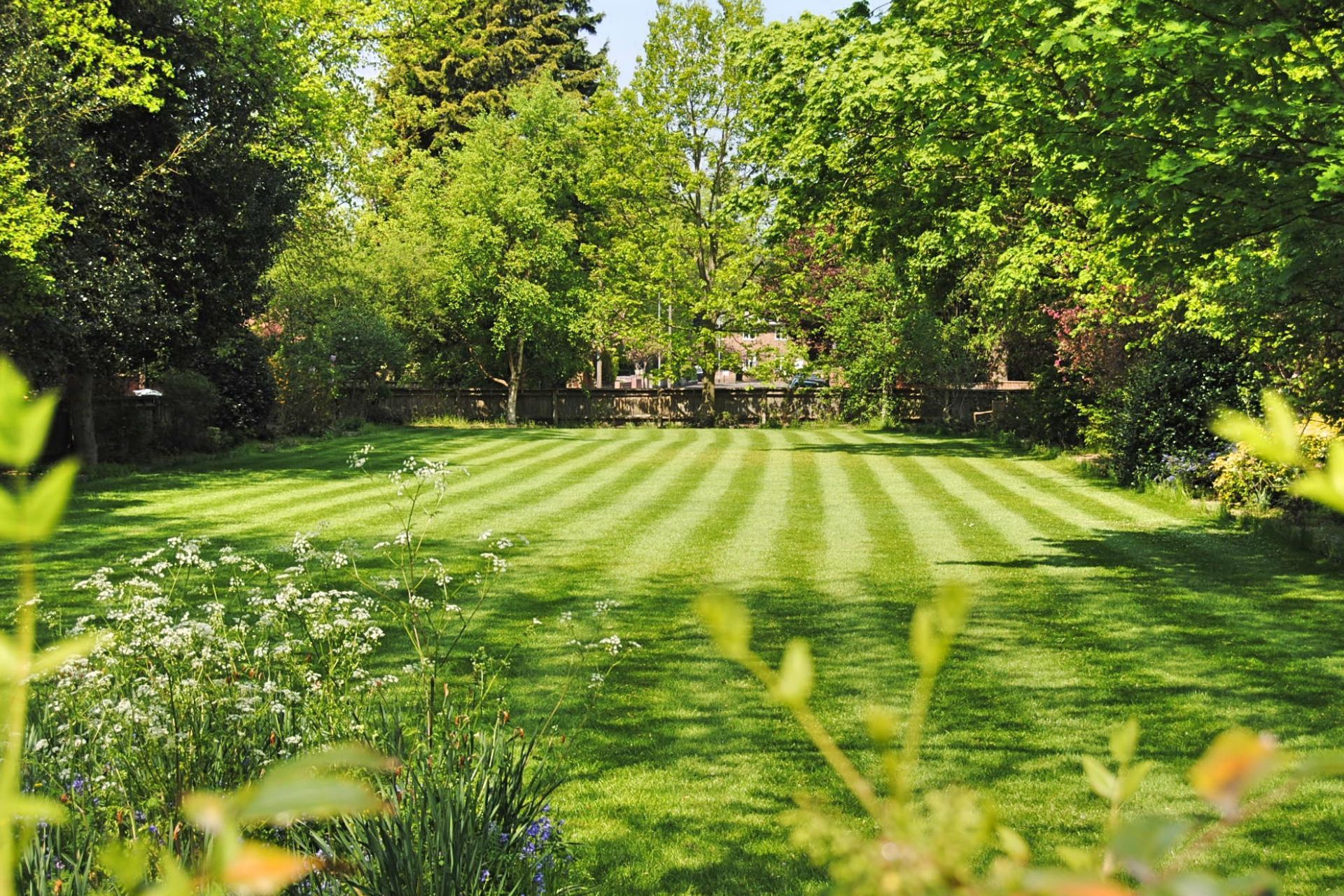 Best lawn care in Athens GA with Dead Silent Lawn Care striped mowing results