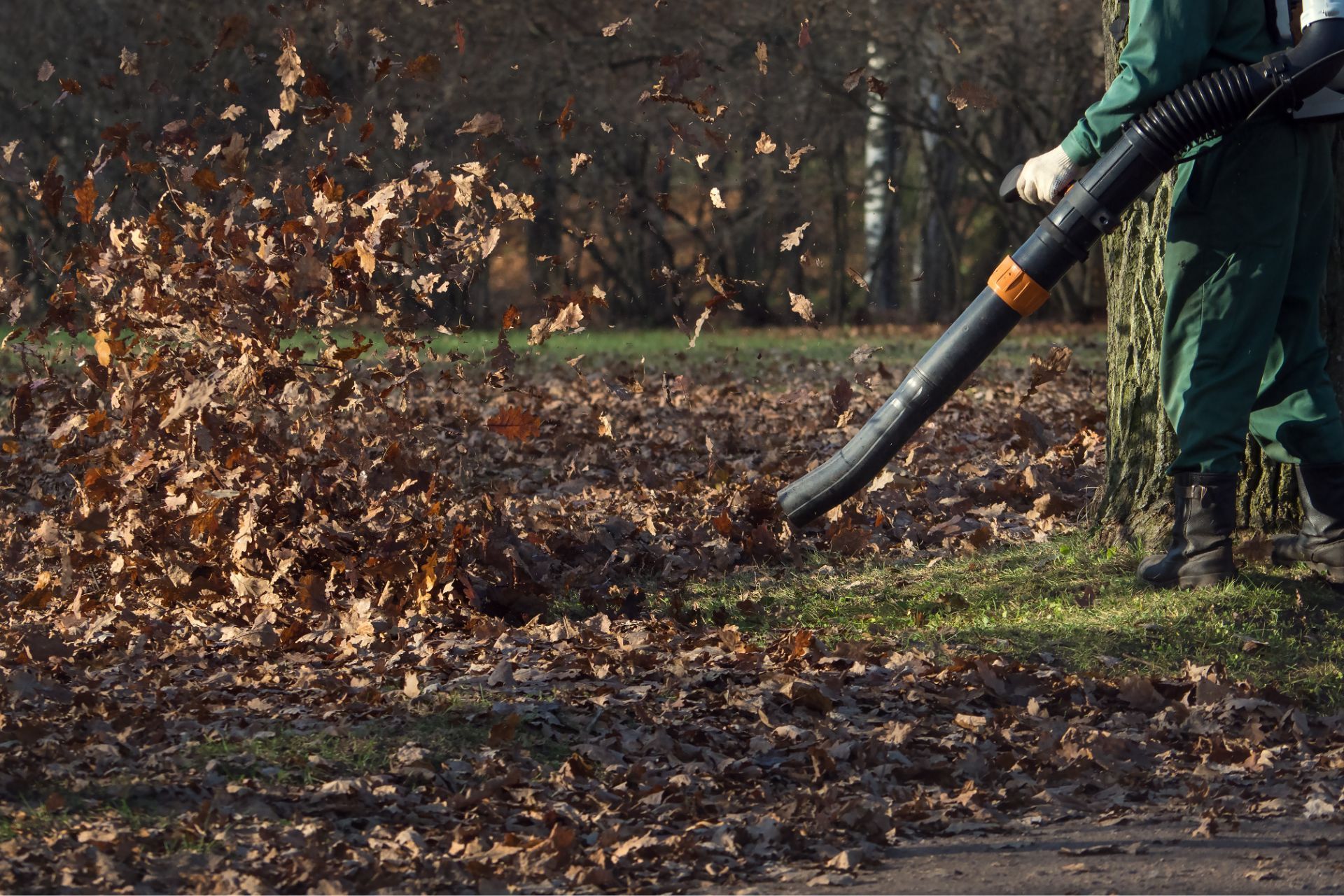 Athens, GA yard cleanup with leaf blower during autumn leaf removal service