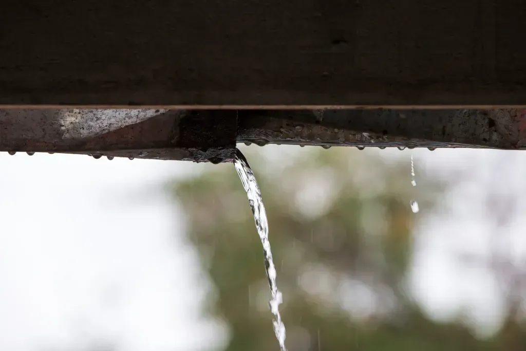Water is dripping from the roof of a building.
