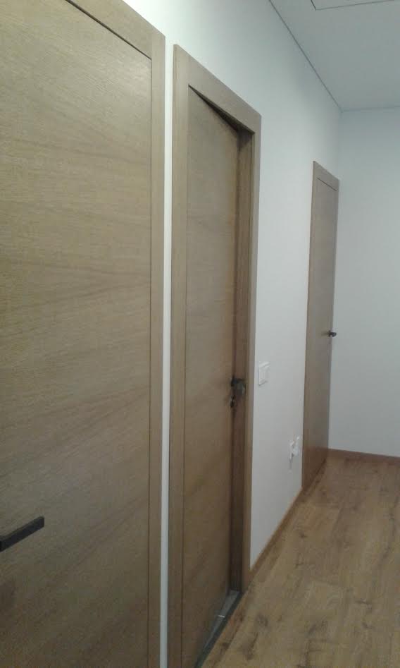 Faneruotos vidaus durys