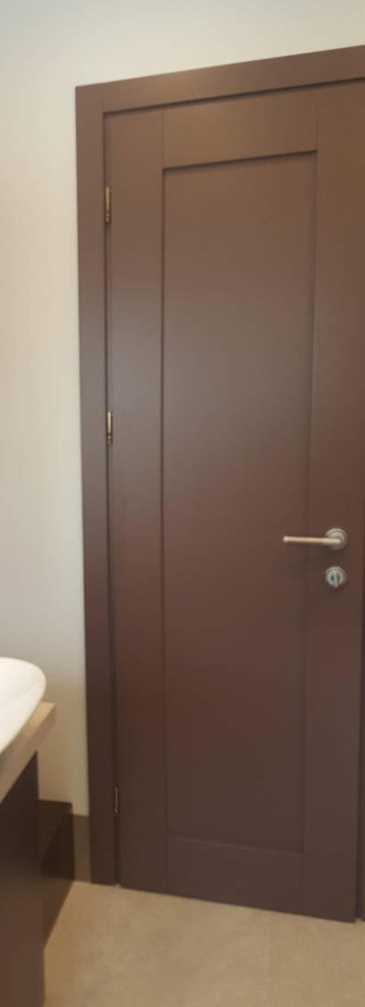 Dažytos vidaus durys