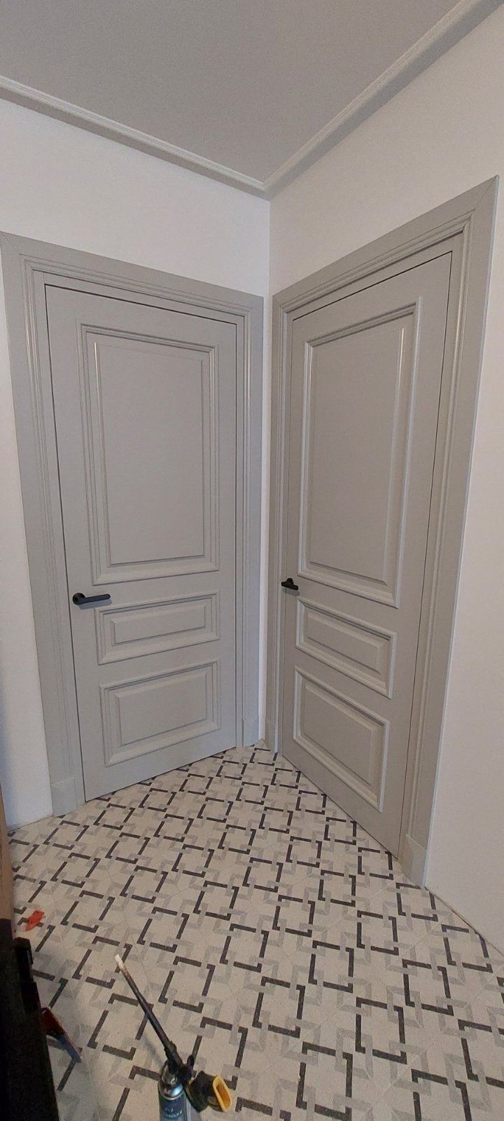 Dažytos vidaus durys