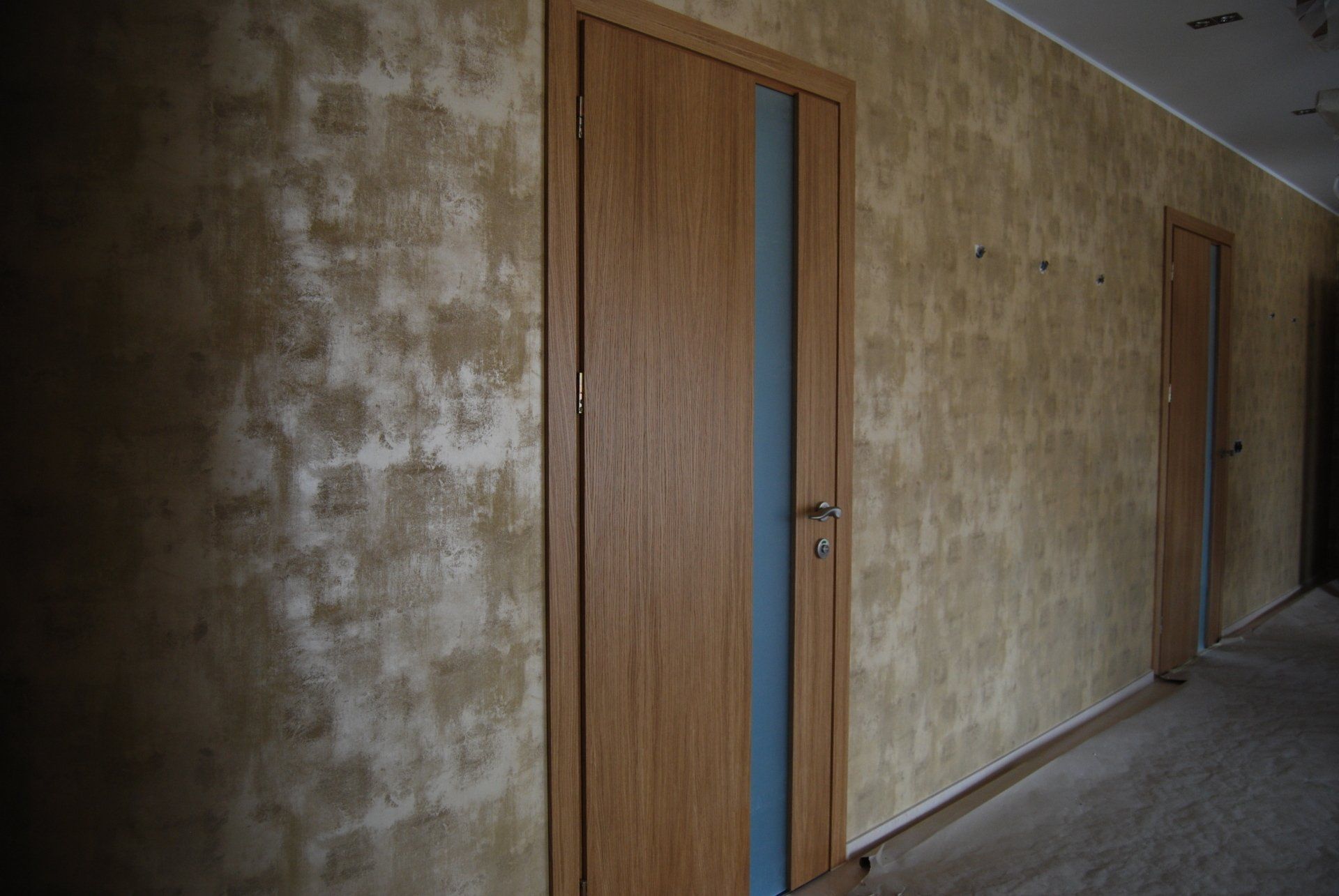 Faneruotos vidaus durys