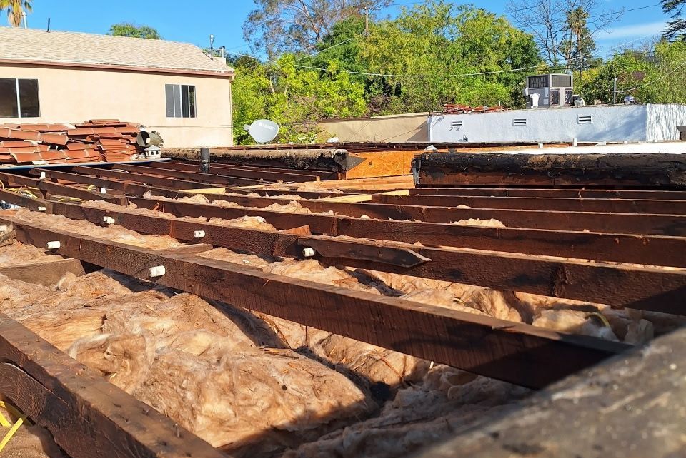 Unveiling the Lead Contamination Crisis