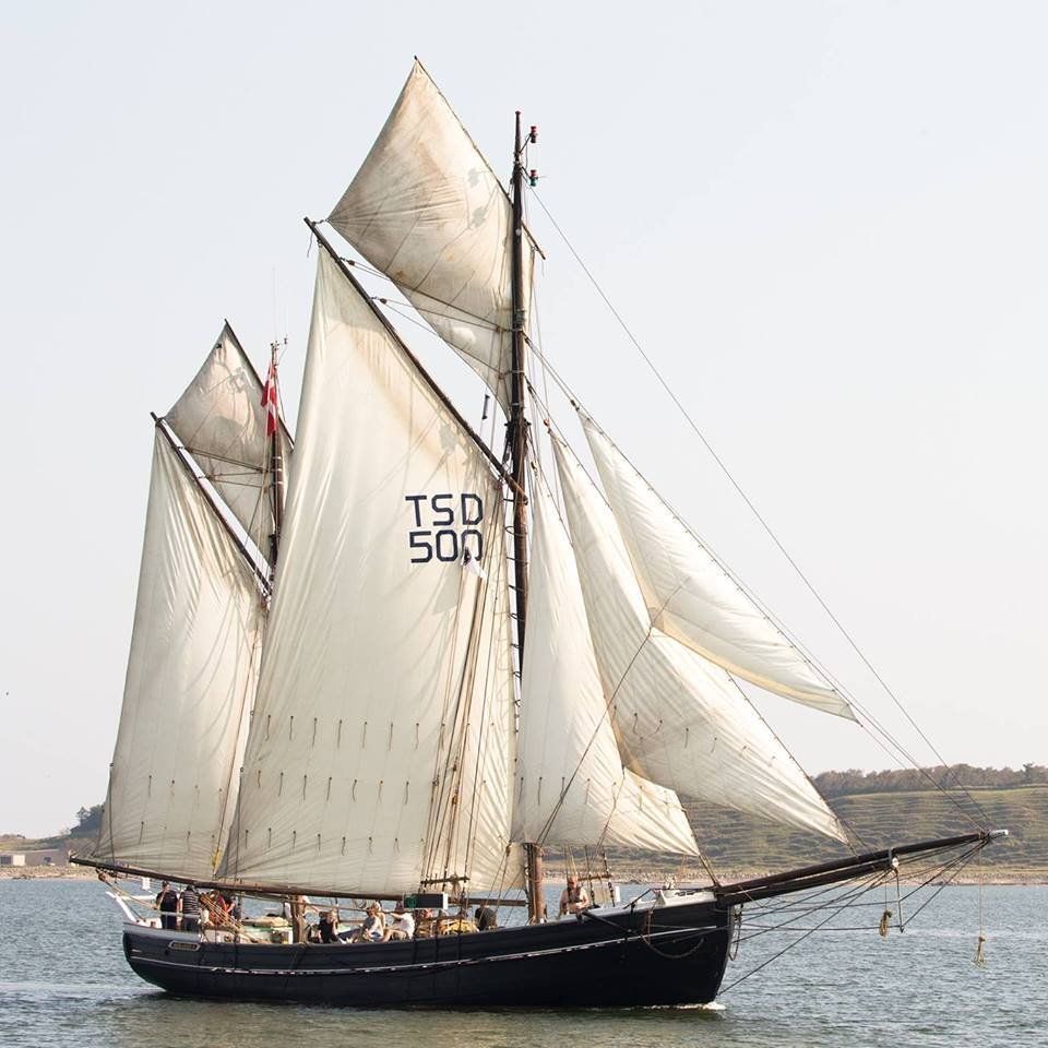 A sailboat with tsd 500 written on the sail