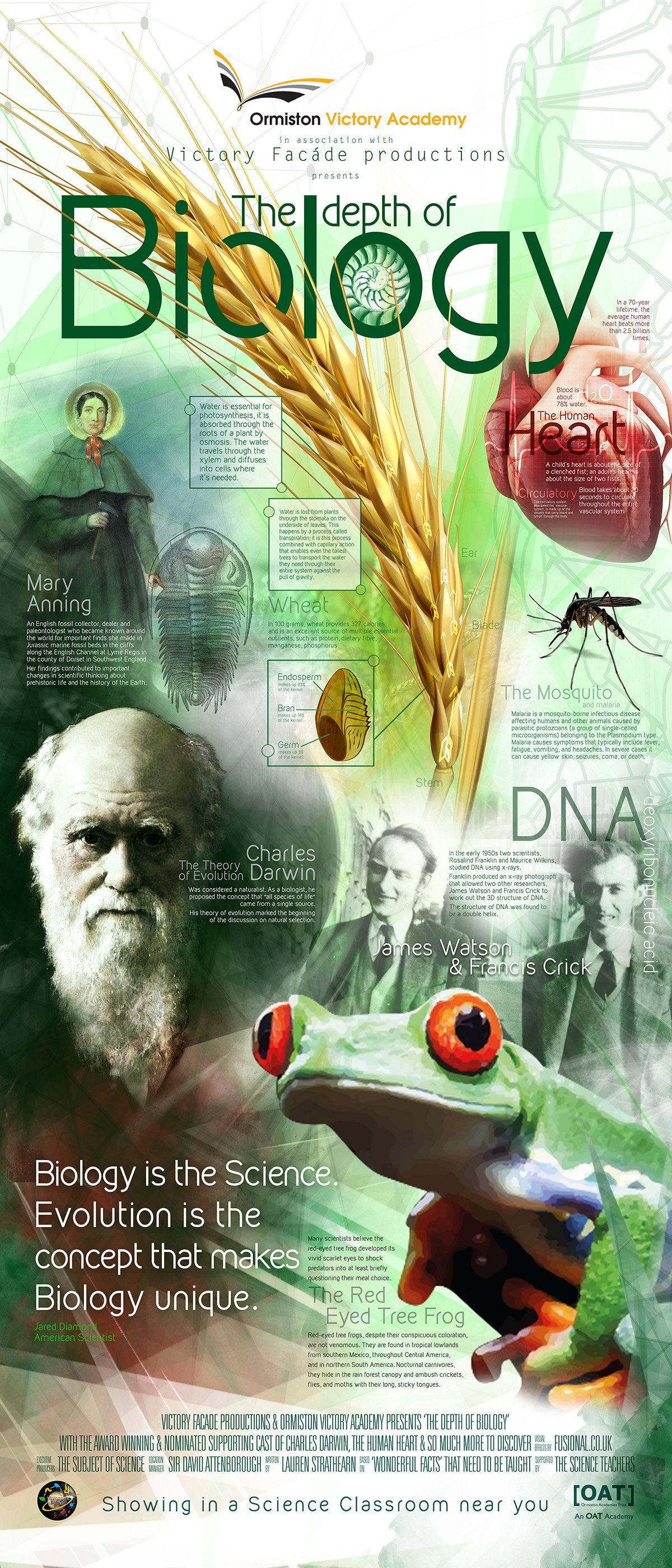 Biology wallpaper design