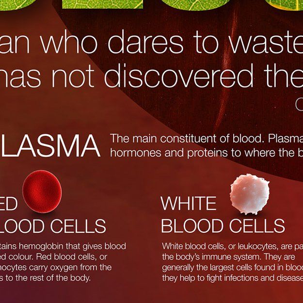 biology wall mural design for schools, plasma