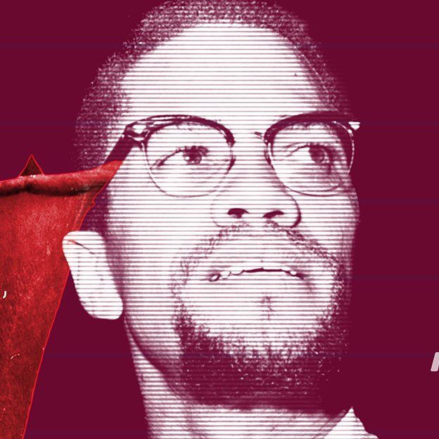 English subject school wall mural Malcolm X