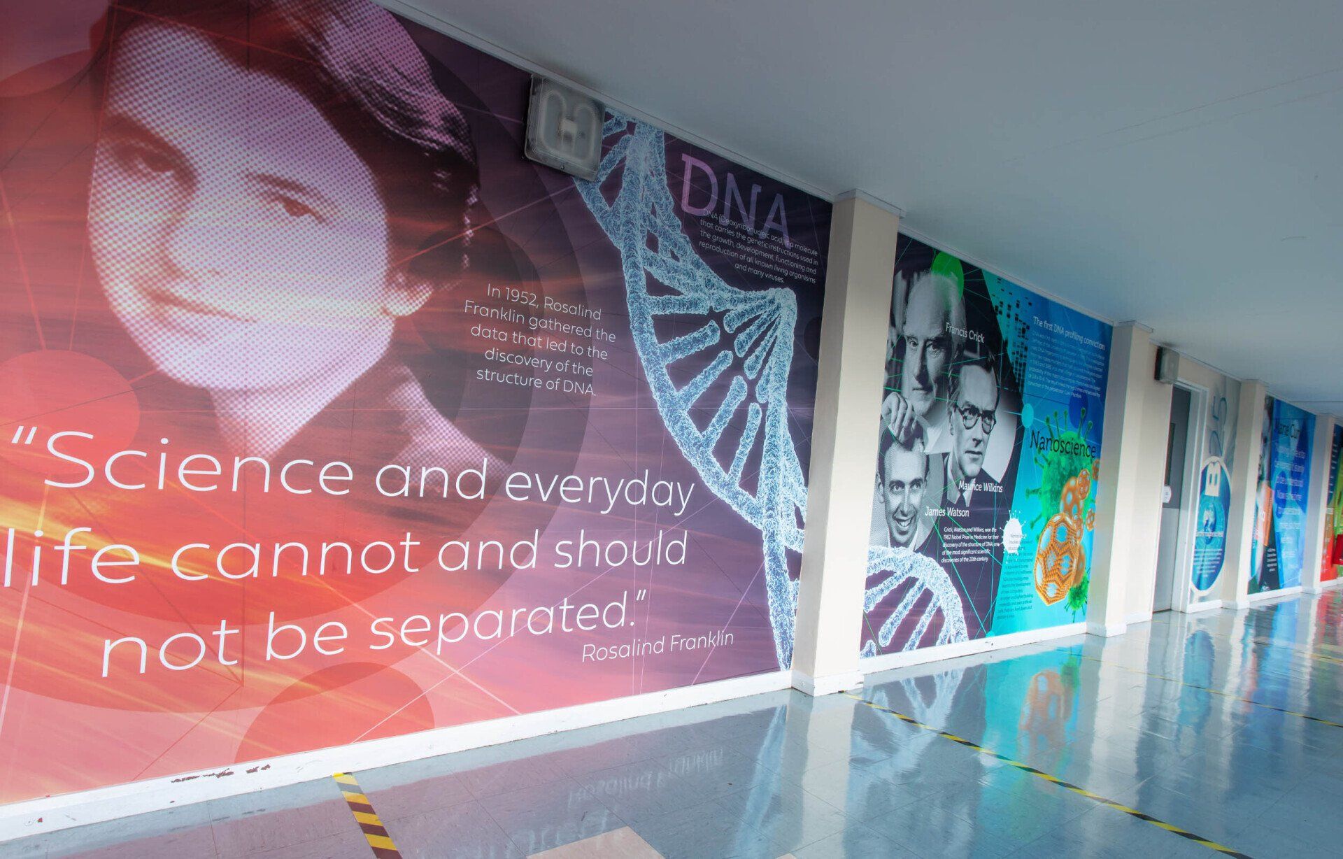 science wall mural for schools