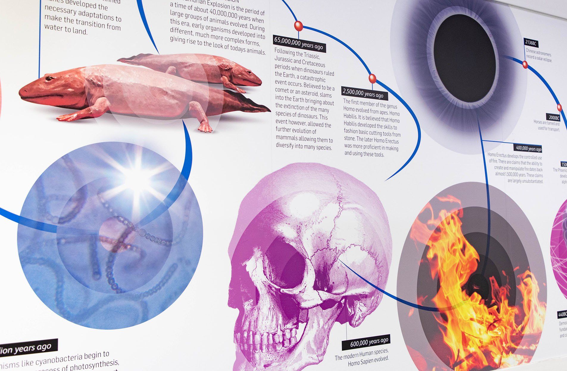 Science timeline mural in school science corridor